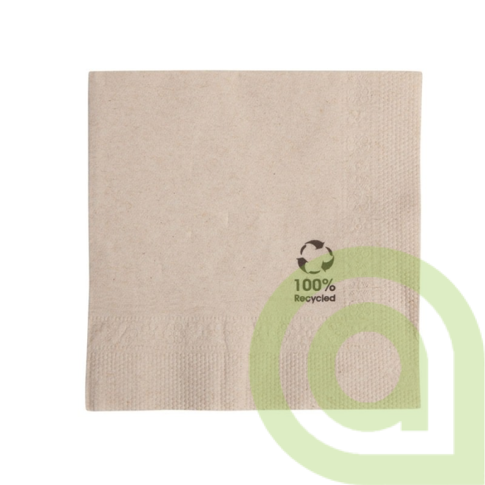 EKO SERVÍTKY 2- VRSTVÉ 24 X 24 CM 300ks