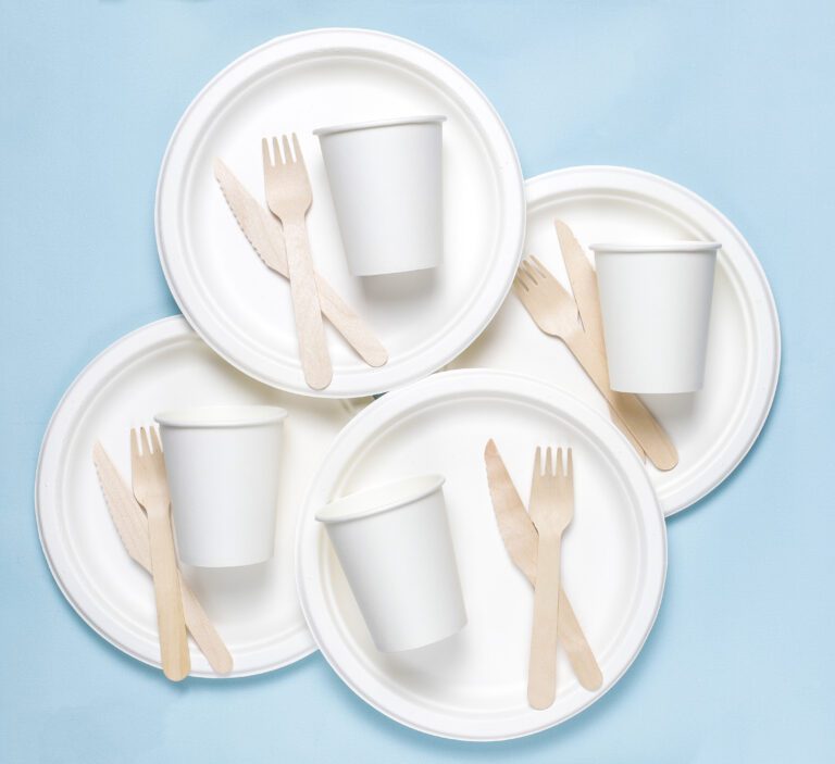 Praktické využitie riadu na jedno použitie v gastronómii a pri podujatiach